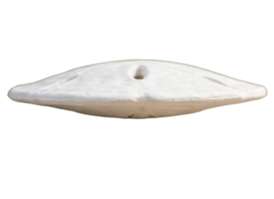 🐚 3D Printed Sand Dollar – "OGAH RADIO" Edition - Image 3